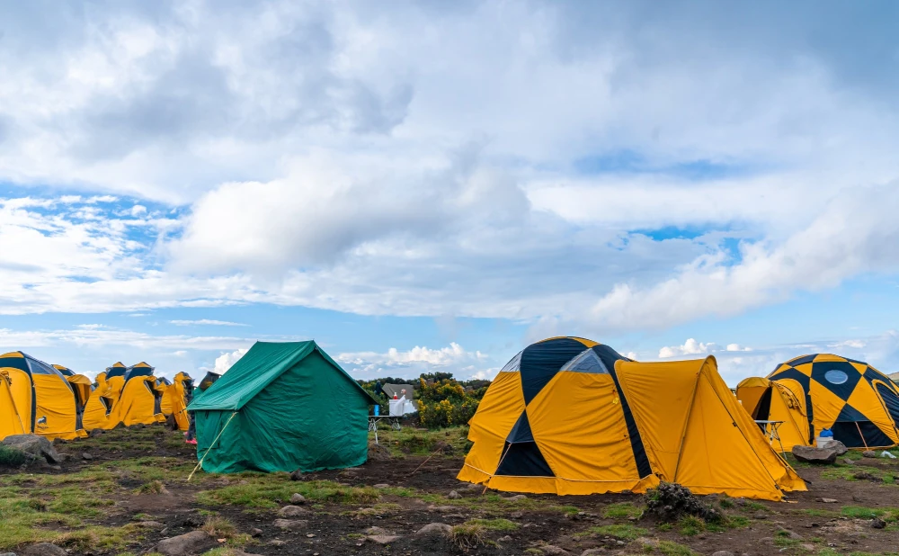 Kilimanjaro National Park