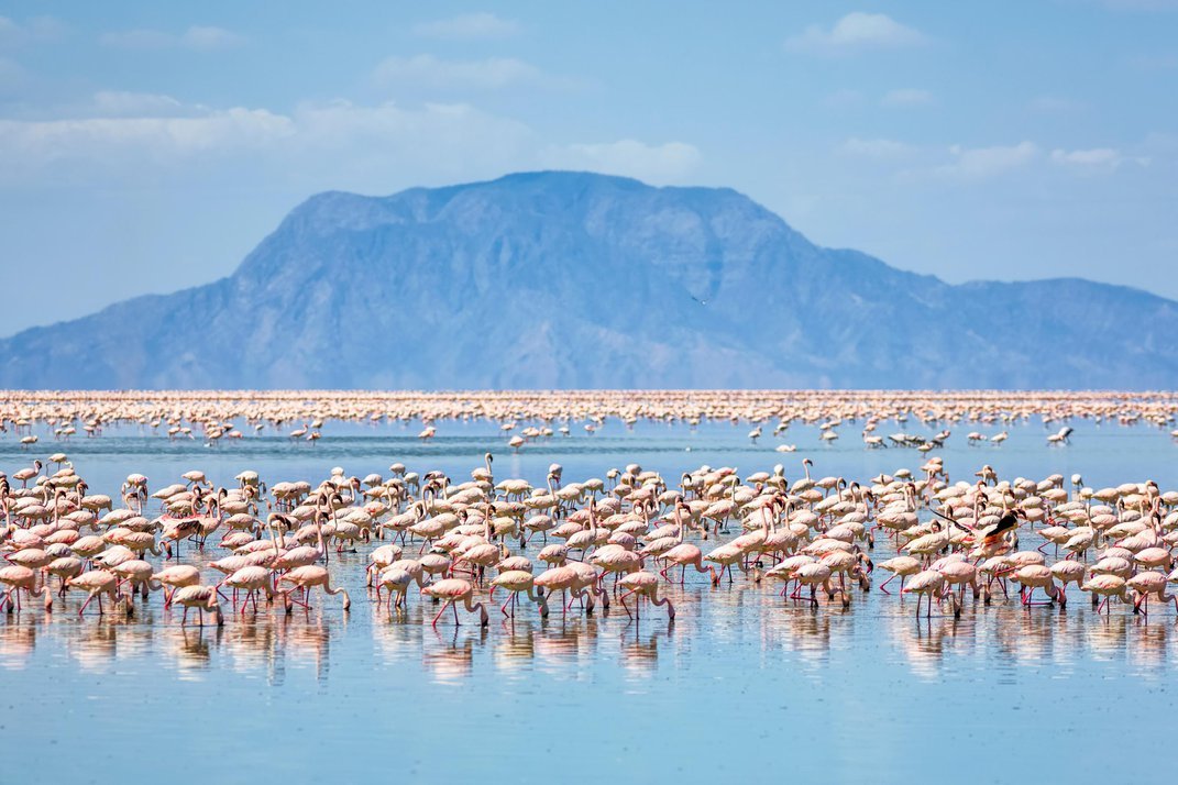 lake-natron-flamingos-mountain